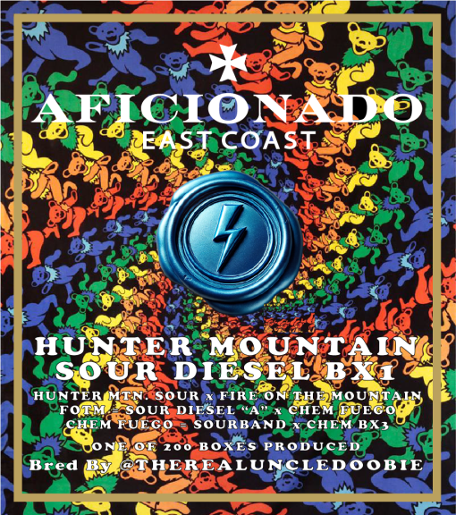 HUNTER-MOUNTAIN-SOUR-BX1-CONCEPT1-510x576.png
